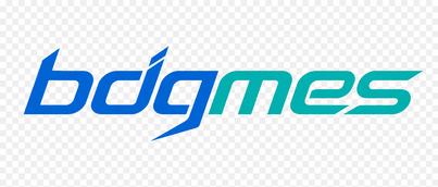 bdgmes